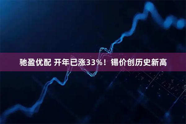 驰盈优配 开年已涨33%！锡价创历史新高