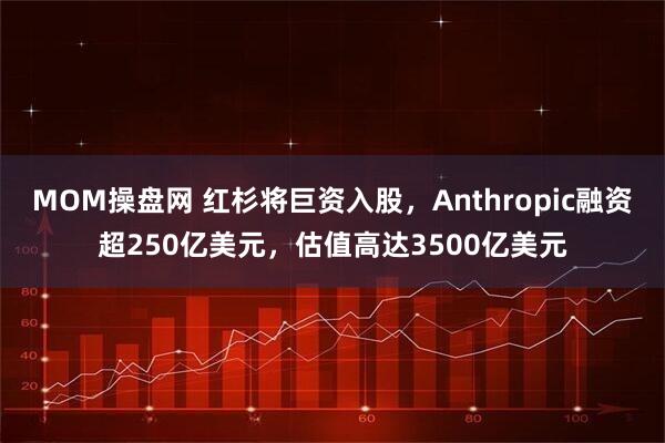 MOM操盘网 红杉将巨资入股，Anthropic融资超250亿美元，估值高达3500亿美元