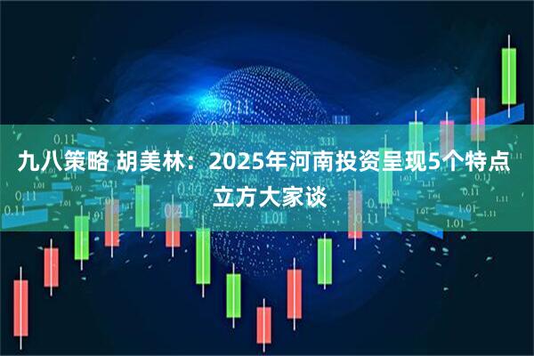 九八策略 胡美林：2025年河南投资呈现5个特点  立方大家谈