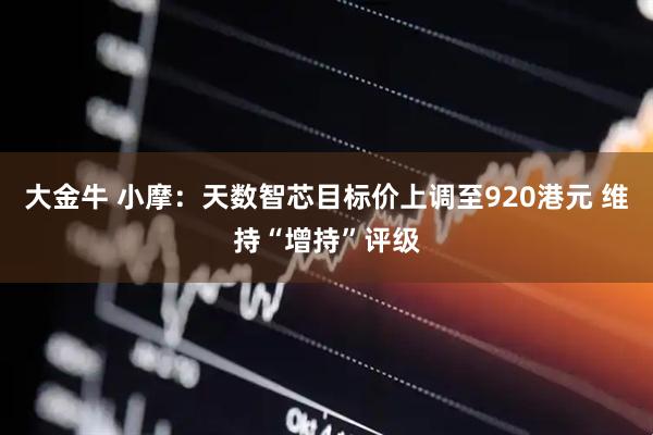 大金牛 小摩：天数智芯目标价上调至920港元 维持“增持”评级