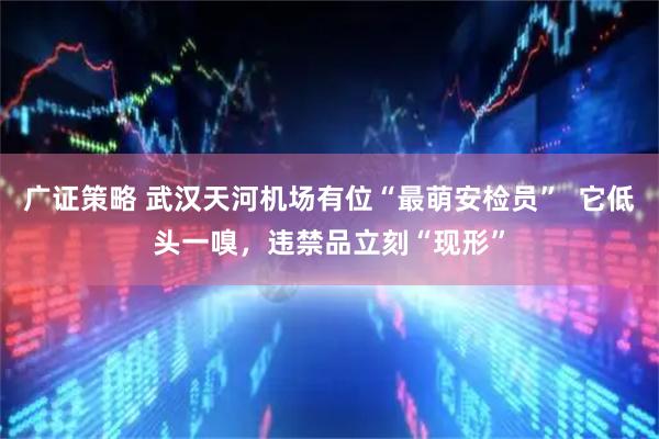 广证策略 武汉天河机场有位“最萌安检员”  它低头一嗅，违禁品立刻“现形”